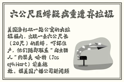 91果冻制造厂